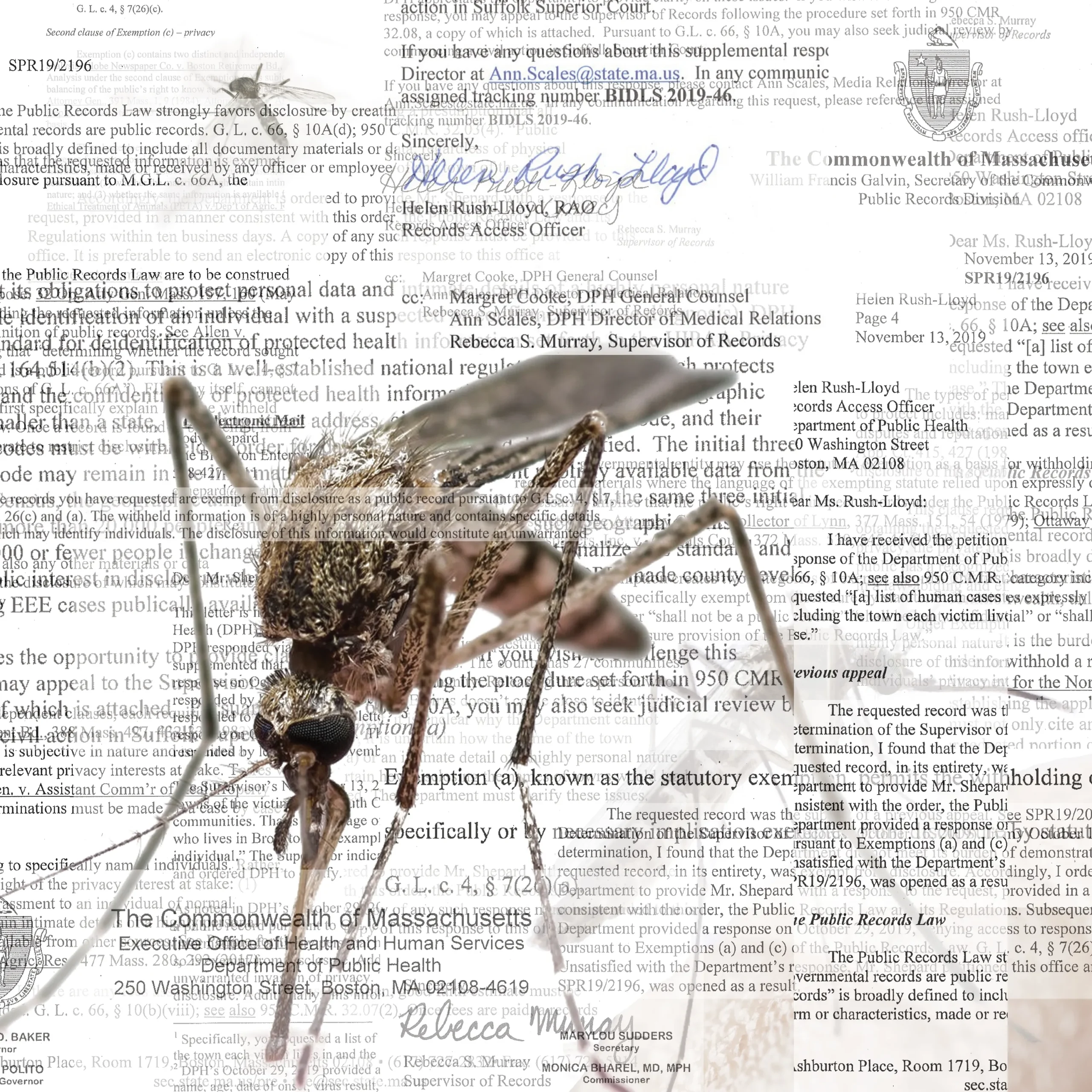 Massachusetts Towns on Alert Over Potentially Deadly Mosquito-Borne Virus