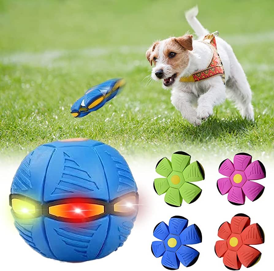 Dog Magic Ball 