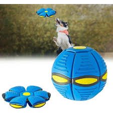 Dog Magic Ball 
